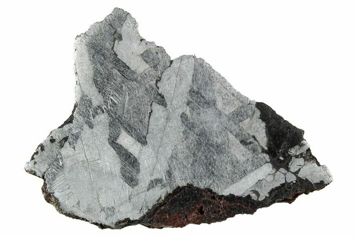 Etched Toluca Iron Meteorite ( g) Slice - Mexico #346482